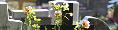 Friedhof in Lahr, Grabsteine und Rosen